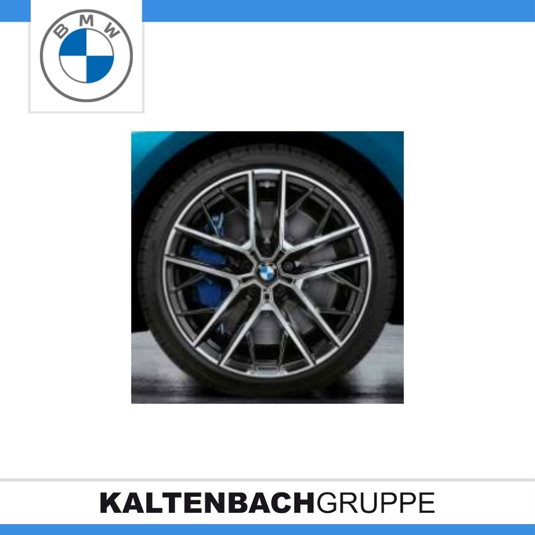 Doppelspeiche 555M-2.jpg